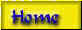 homebtn.jpg (1405 bytes)